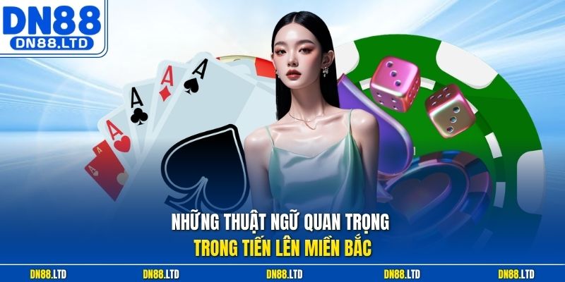 Những thuật ngữ quan trọng trong Tiến lên miền Bắc